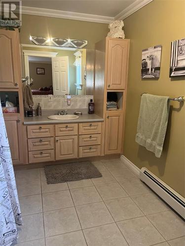 1 Rowsellville Road, Roberts Arm, NL - Indoor Photo Showing Bathroom