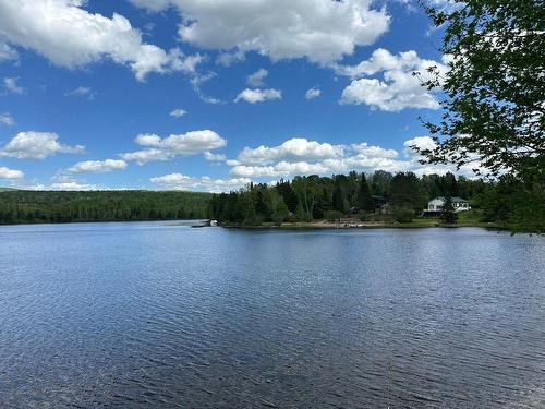 Vue - 176 Ch. De La Baie-Claire, La Macaza, QC 