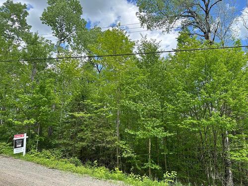 Land/Lot - 176 Ch. De La Baie-Claire, La Macaza, QC 