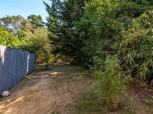 3439 Cook St, Saanich, BC 