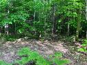 Land/Lot - Ch. Du Lac-Brennan, Rawdon, QC 