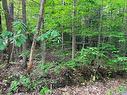 Land/Lot - Ch. Du Lac-Brennan, Rawdon, QC 