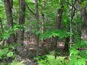 Land/Lot - Ch. Du Lac-Brennan, Rawdon, QC 