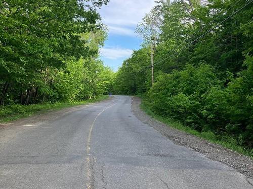 Street - Ch. Du Lac-Brennan, Rawdon, QC 