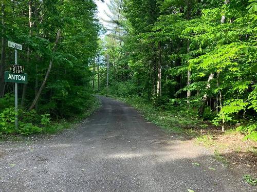 Street - Ch. Du Lac-Brennan, Rawdon, QC 