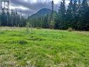 Lot A Williams Creek Avenue, Terrace, BC 