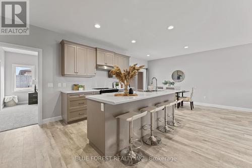 14 Vida Street, Chatham-Kent, ON - Indoor Photo Showing Kitchen With Upgraded Kitchen