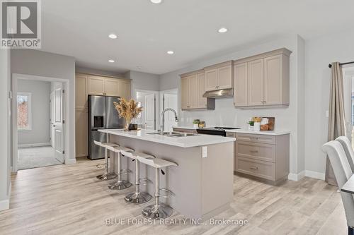 14 Vida Street, Chatham-Kent, ON - Indoor Photo Showing Kitchen With Double Sink With Upgraded Kitchen