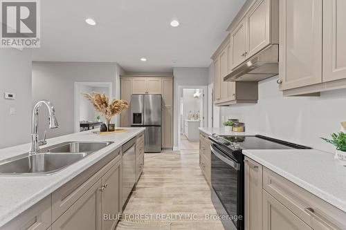 14 Vida Street, Chatham-Kent, ON - Indoor Photo Showing Kitchen With Stainless Steel Kitchen With Double Sink With Upgraded Kitchen