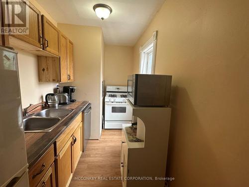 102 Stewart Street, Peterborough, ON - Indoor Photo Showing Kitchen With Double Sink