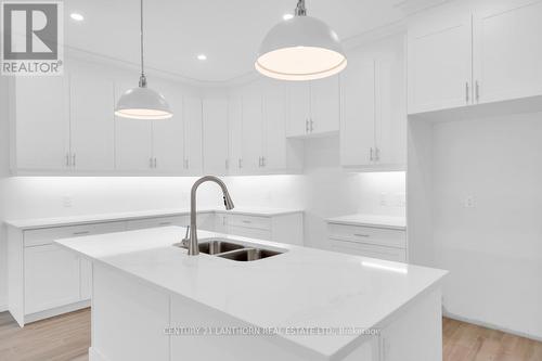 73 Seymour Street W, Centre Hastings, ON - Indoor Photo Showing Kitchen With Double Sink With Upgraded Kitchen