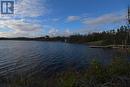 51 Ocean Pond Estates, Whitbourne, NL  - Outdoor With Body Of Water With View 