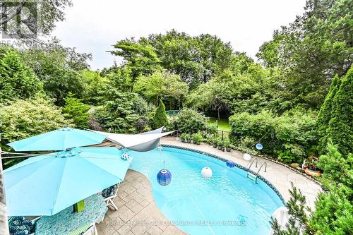 247 Harris Avenue, Richmond Hill, ON - Outdoor With In Ground Pool