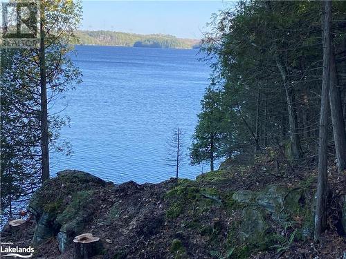 View of water from property - 0 Mill Lake, Mcdougall, ON 