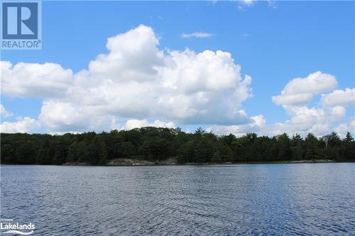 view from water - 0 Mill Lake, Mcdougall, ON 