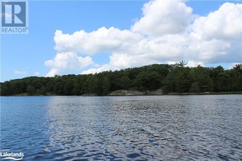 view from water - 0 Mill Lake, Mcdougall, ON 