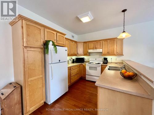 107 Victoria Avenue, Belleville, ON - Indoor Photo Showing Kitchen With Double Sink