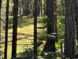 Lot 2 Driftwood Dr  Mudge Island, BC V0R 1X0