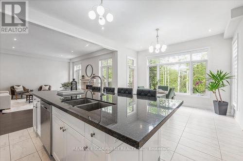 912 Forest Creek Court, Kitchener, ON - Indoor Photo Showing Kitchen With Double Sink