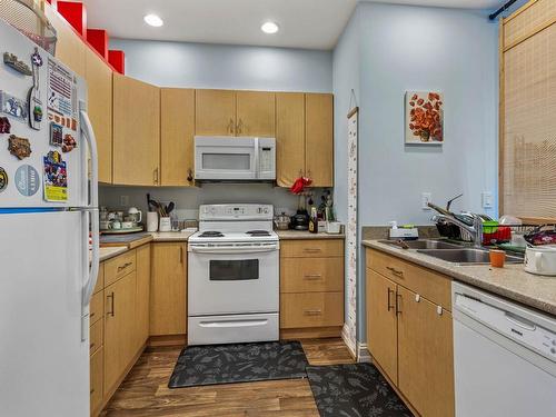 842 Guerin Creek Way, Kamloops, BC - Indoor Photo Showing Kitchen With Double Sink