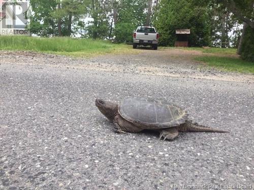 237 Rte 636, Harvey, NB - Outdoor