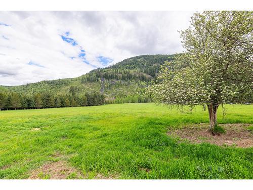 Lot B Highway 3, Creston, BC 