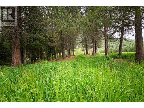 Lot B 3 Highway, Creston, BC 