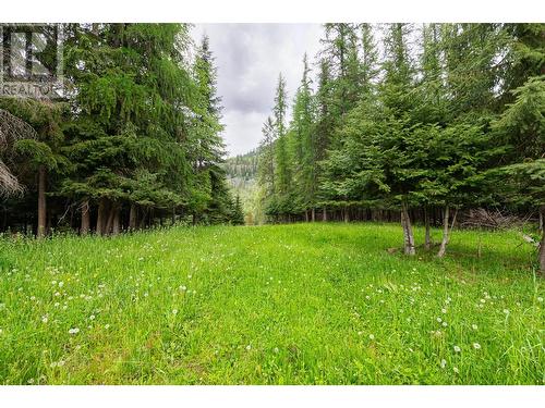 Lot B 3 Highway, Creston, BC 