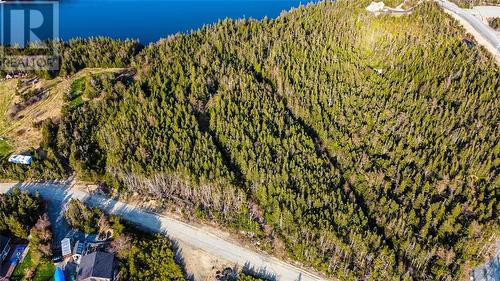 115-127 Round Pond Road Unit#Lot 1, Paradise, NL 