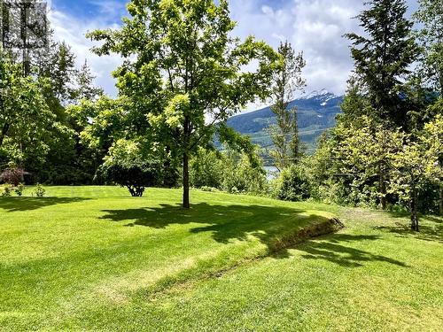 185 Donnellys Road, Nakusp, BC - Outdoor