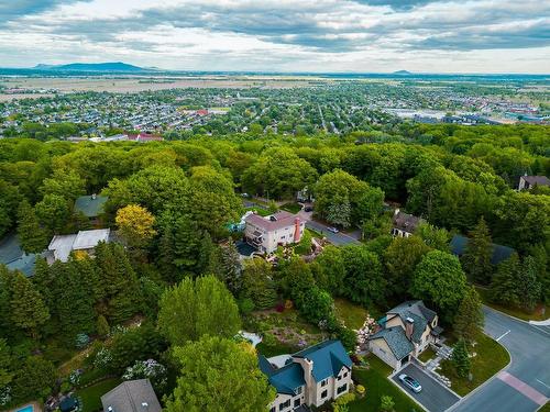 Overall view - 901 Ch. Des Hirondelles, Saint-Bruno-De-Montarville, QC - Outdoor With View