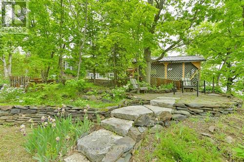 169 Fire Route 25 Route, Havelock-Belmont-Methuen, ON - Outdoor With Deck Patio Veranda