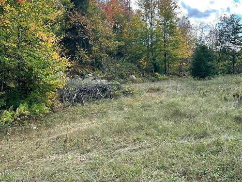 Land/Lot - Rue Des Dahlias, Wentworth-Nord, QC 