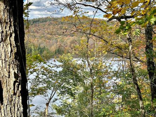 View - Rue Des Dahlias, Wentworth-Nord, QC 