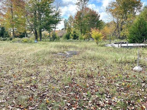 Land/Lot - Rue Des Dahlias, Wentworth-Nord, QC 