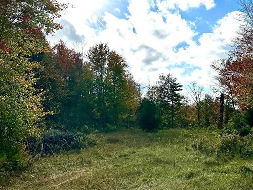 Land/Lot - Rue Des Dahlias, Wentworth-Nord, QC 