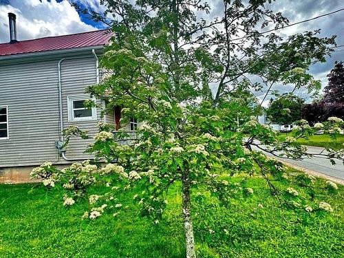 47 Asquith Avenue, Stewiacke, NS 