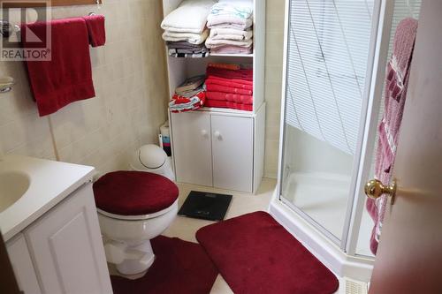 36 Gull Pond Road, Gull Pond, NL - Indoor Photo Showing Bathroom