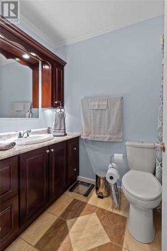 37 Salmonier Line, Holyrood, NL - Indoor Photo Showing Bathroom