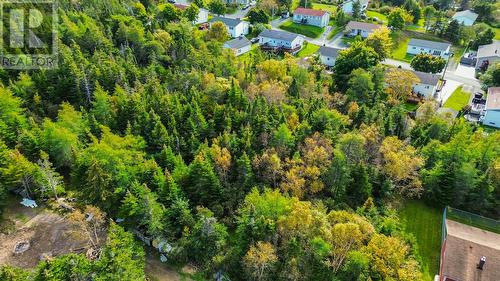 37 Salmonier Line, Holyrood, NL - Outdoor With View