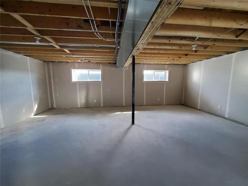 536 St Alphonse Avenue, Ste Anne, MB - Indoor Photo Showing Basement