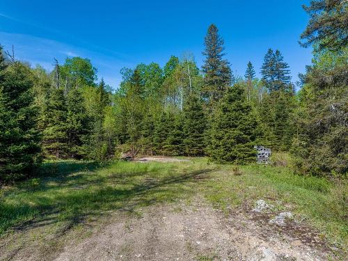 Terre/Terrain - Route 117 S., Rivière-Rouge, QC 