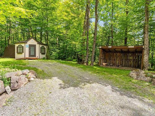 Backyard - 121 Rue Du Bourgeon, Orford, QC - Outdoor