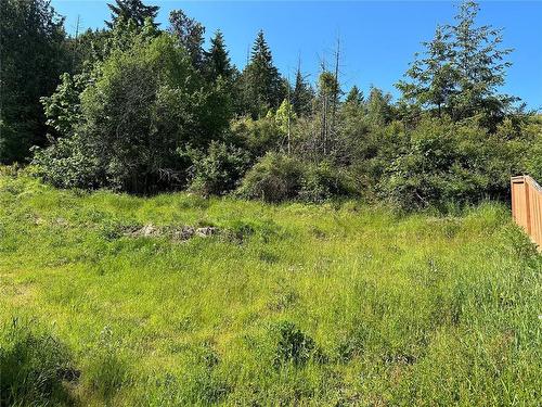 Lot A Ash Rd, Chemainus, BC 