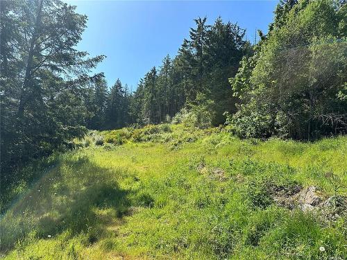 Lot A Ash Rd, Chemainus, BC 