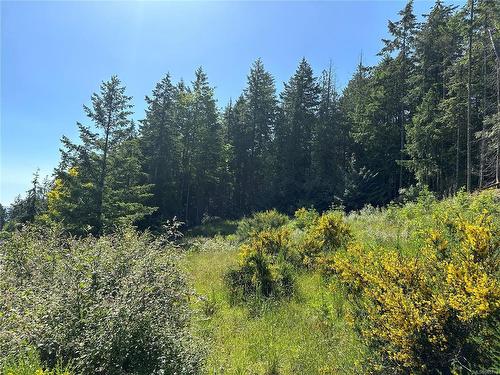 Lot A Ash Rd, Chemainus, BC 