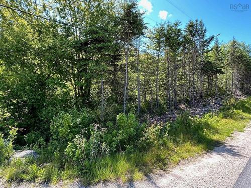 Lot 1 Lower Grant Road, Chester Basin, NS 