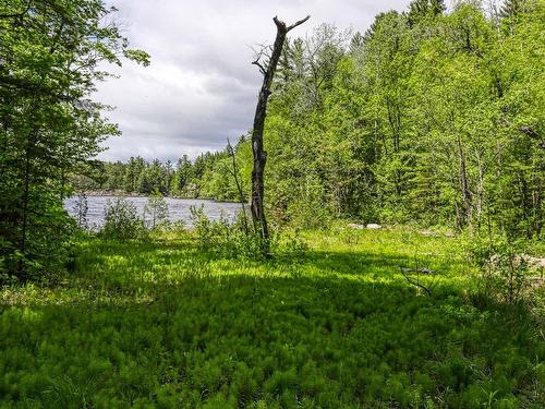 Land/Lot - Ch. Du Patrimoine, Saint-Boniface, QC 