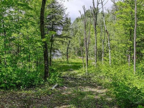 Land/Lot - Ch. Du Patrimoine, Saint-Boniface, QC 