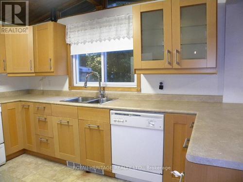 22 Water Street, Kawartha Lakes, ON - Indoor Photo Showing Kitchen With Double Sink
